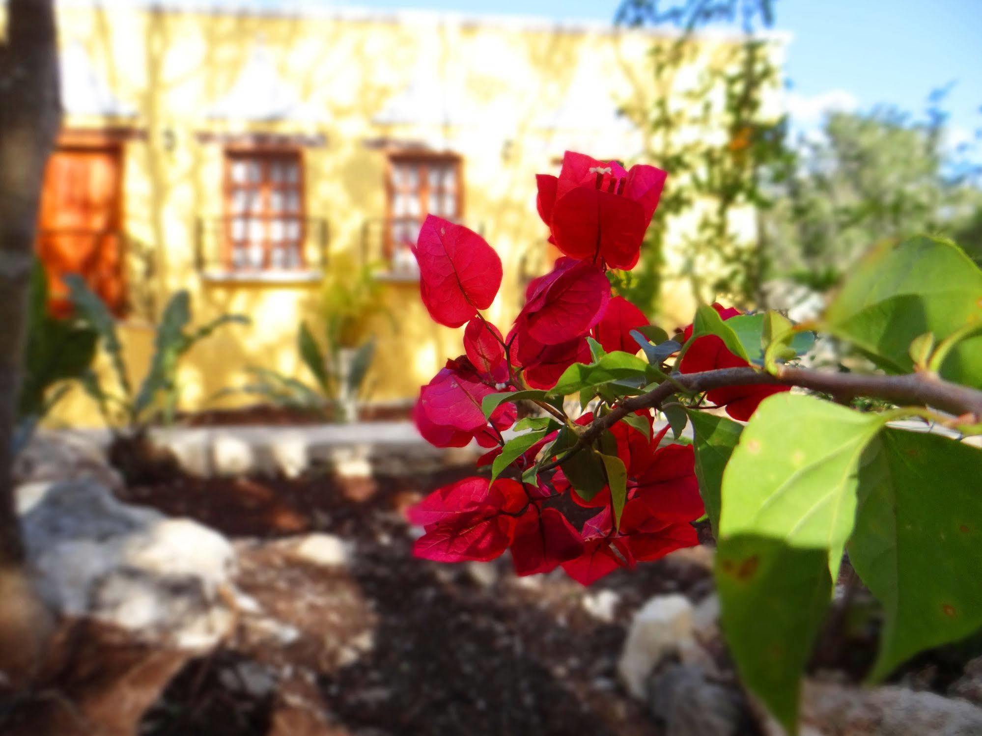 مبيت وإفطار Hacienda Cobá المظهر الخارجي الصورة